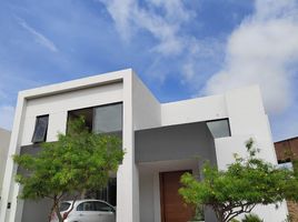5 침실 주택을(를) Tuxtla Gutierrez, 치아파스에서 판매합니다., Tuxtla Gutierrez