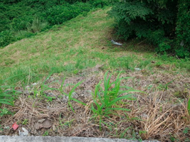  Terreno (Parcela) en venta en Talisay City, Central Visayas, Talisay City, Cebu