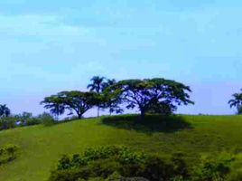  Land for sale in Pereira, Risaralda, Pereira