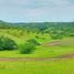  Land for sale in Cebu Central Visayas, Tabogon