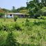  Land for sale in Tepetlan, Veracruz, Tepetlan