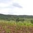  Land for sale in Kabankalan City, Negros Occidental, Kabankalan City