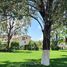 4 Bedroom Condo for sale in Cuernavaca, Morelos, Cuernavaca