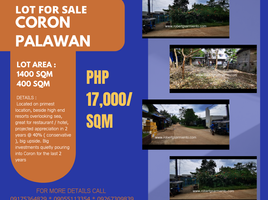  Terrain for sale in Coron, Palawan, Coron