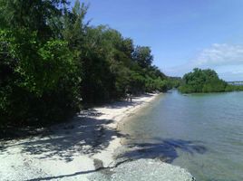  Terrain for sale in Dalaguete, Cebu, Dalaguete