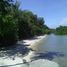  Land for sale in Cebu Central Visayas, Dalaguete