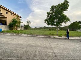  Terreno (Parcela) en venta en Las Pinas City, Metro Manila, Las Pinas City, Southern District, Metro Manila