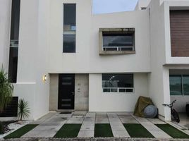 3 Habitación Casa en venta en Atlixco, Puebla, Atlixco