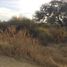  Land for sale in Dolores Hidalgo, Guanajuato, Dolores Hidalgo