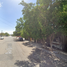 2 Schlafzimmer Haus zu verkaufen in Hermosillo, Sonora, Hermosillo, Sonora