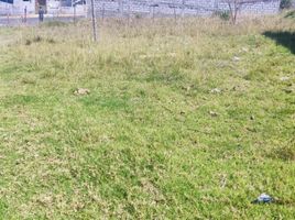  Land for sale in Atahualpa Chisalata, Ambato, Atahualpa Chisalata