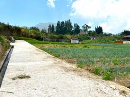  Grundstück zu verkaufen in Tawang Mangu, Jawa Tengah, Tawang Mangu