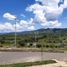  Land for sale in Risaralda, Caldas, Risaralda, Caldas