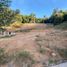  Terreno (Parcela) en venta en Biobío, Tome, Concepción, Biobío