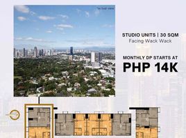 1 Bedroom Condo for sale in Shaw Boulevard MRT-3, Mandaluyong City, Mandaluyong City