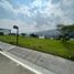  Land for sale in Floridablanca, Santander, Floridablanca