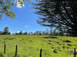  Terreno (Parcela) en venta en Los Ríos, Lanco, Valdivia, Los Ríos