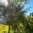  Terreno (Parcela) en venta en Los Ríos, Lanco, Valdivia, Los Ríos