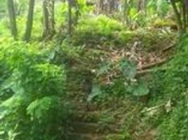  Terreno (Parcela) en venta en San Pablo City, Calabarzon, San Pablo City, Laguna