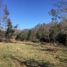  Land for sale in Golbea, Araucania, Golbea