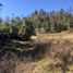  Terreno (Parcela) en venta en Chile, Golbea, Cautín, Araucanía, Chile