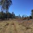  Terreno (Parcela) en venta en Chile, Golbea, Cautín, Araucanía, Chile