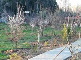  Terreno (Parcela) en venta en Biobío, Florida, Concepción, Biobío