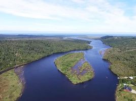  Land for sale in Chile, Ancud, Chiloe, Los Lagos, Chile
