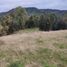  Land for sale in Chile, Ancud, Chiloe, Los Lagos, Chile