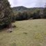  Land for sale in Chile, Ancud, Chiloe, Los Lagos, Chile