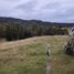  Land for sale in Chile, Ancud, Chiloe, Los Lagos, Chile