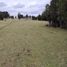  Land for sale in Chile, Ancud, Chiloe, Los Lagos, Chile