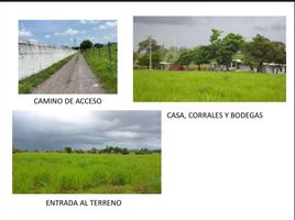  Grundstück zu verkaufen in Xico, Veracruz, Xico