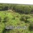  Land for sale in Valladolid, Yucatan, Valladolid