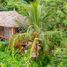 3 Habitación Casa en venta en Compostela, Nayarit, Compostela