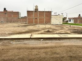  Terreno (Parcela) en venta en Chincha, Ica, Chincha Alta, Chincha