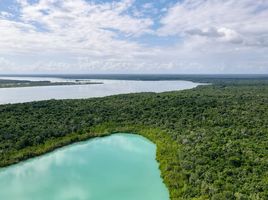  Grundstück zu verkaufen in Othon P Blanco, Quintana Roo, Othon P Blanco