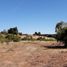 Land for sale in San Clemente, Maule, San Clemente, Talca