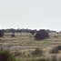  Land for sale in Camargo, Tamaulipas, Camargo