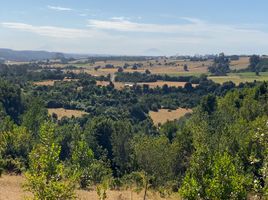  Land for sale in Chile, Los Muermos, Llanquihue, Los Lagos, Chile