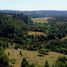  Land for sale in Chile, Los Muermos, Llanquihue, Los Lagos, Chile