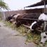  Land for sale in Moche, La Libertad, Moche, Trujillo