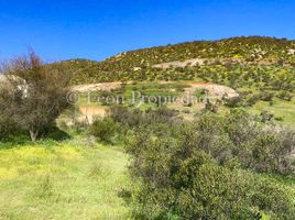  Terreno (Parcela) en venta en Melipilla, Santiago, Curacavi, Melipilla