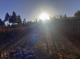  Terreno (Parcela) en venta en Valparaíso, Viña del Mar, Valparaíso, Valparaíso