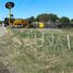  Land for sale in Montemorelos, Nuevo Leon, Montemorelos