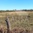  Land for sale in Montemorelos, Nuevo Leon, Montemorelos