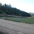  Land for sale in Cardenal Caro, Libertador General Bernardo Ohiggins, Navidad, Cardenal Caro