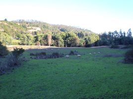  Land for sale in Cardenal Caro, Libertador General Bernardo Ohiggins, Navidad, Cardenal Caro