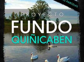  Terreno (Parcela) en venta en Litueche, Cardenal Caro, Litueche