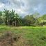  Land for sale in Sibulan, Negros Oriental, Sibulan